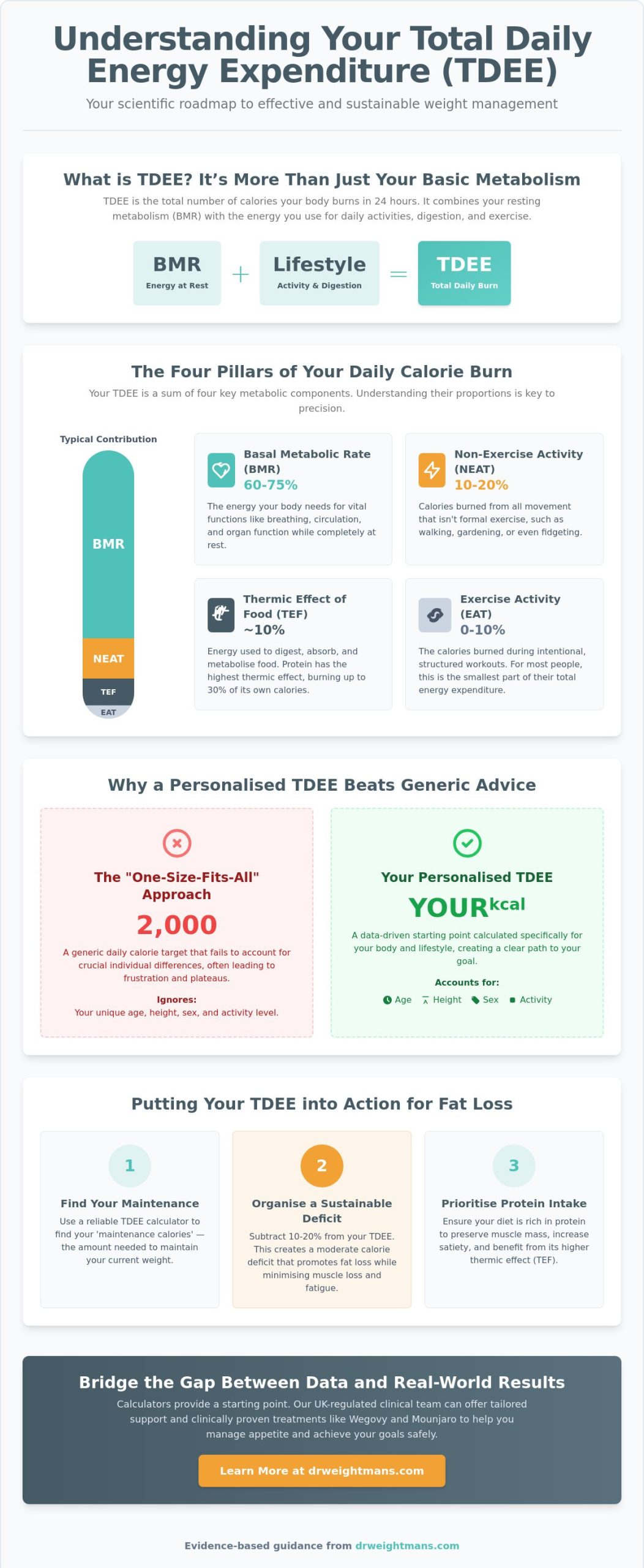 TDEE Calculator: How to Calculate Your Daily Energy Needs for Weight Loss